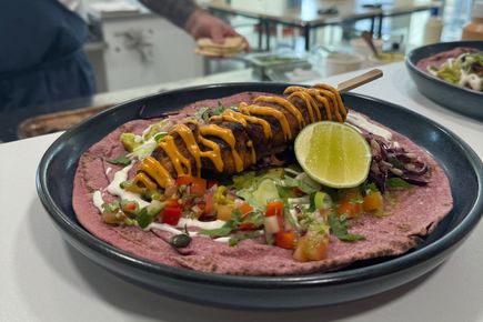 Halal chicken skewers