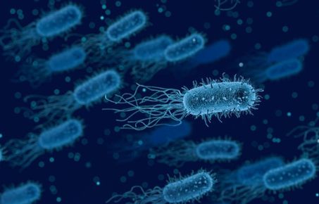 Smart surfaces to tackle infection and antimicrobial resistance